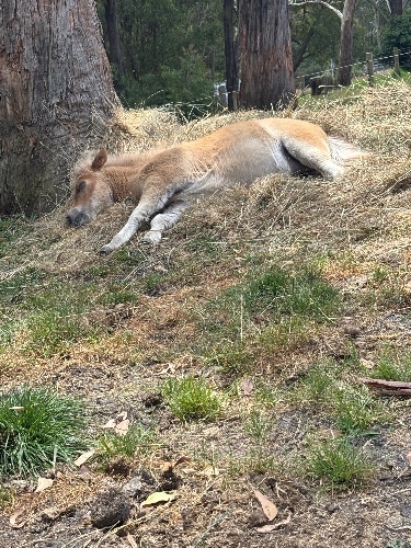 IMG_3465.jpeg
