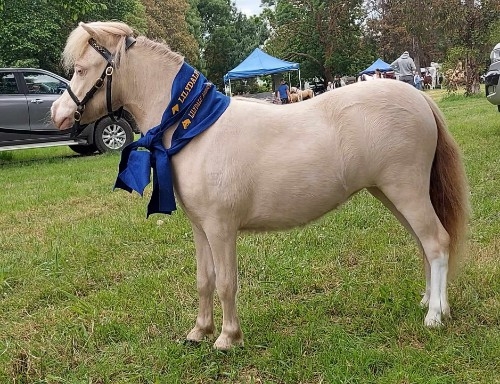 Rawhiti Park Gemstone