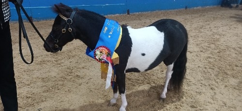 Jukebox Park Easy Money 