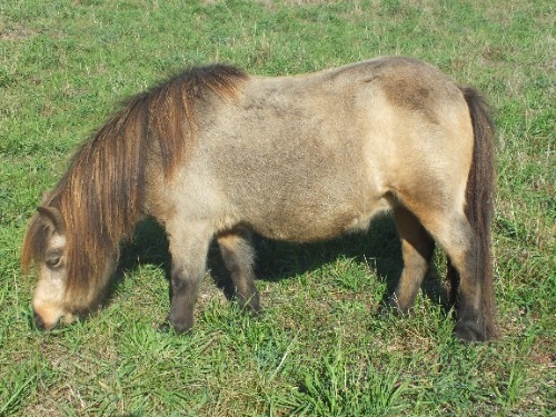 DSCF7559.JPG
