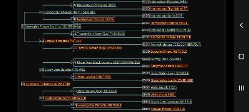 Screenshot_20260610-113832_Samsung Browser.jpg